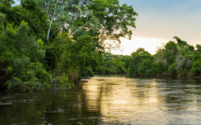 passeio-pelo-rio-baia-afluente-do-rio-paraná-em-porto-rico