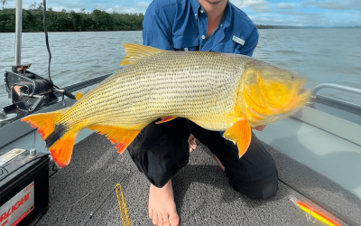 pesca-esportiva-no-rio-parana-na-cidade-de-porto-rico